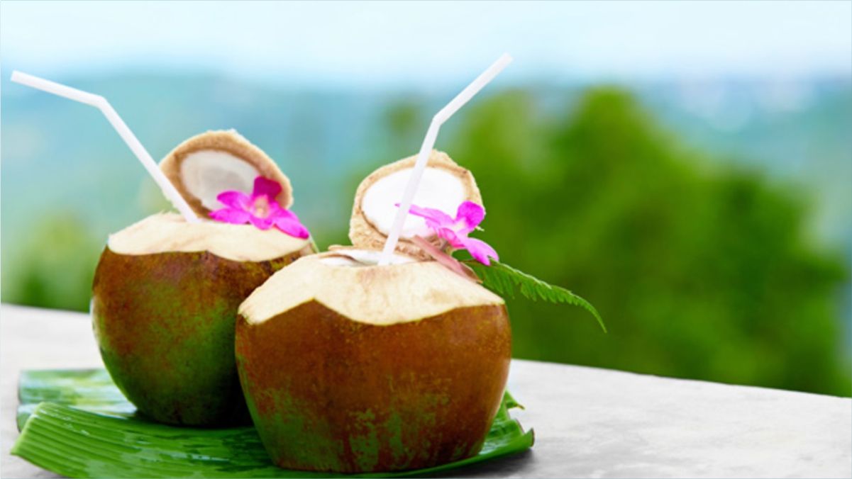 Fun Facts about Coconuts
