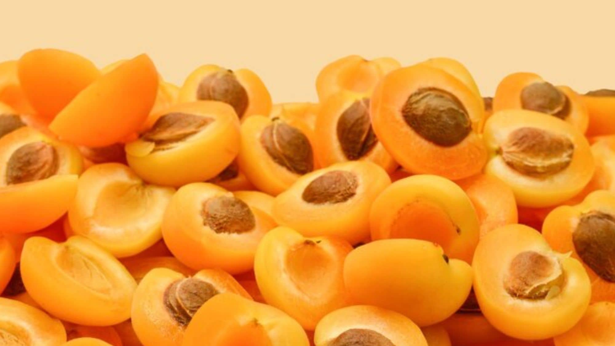 Wonder Fruit Apricot