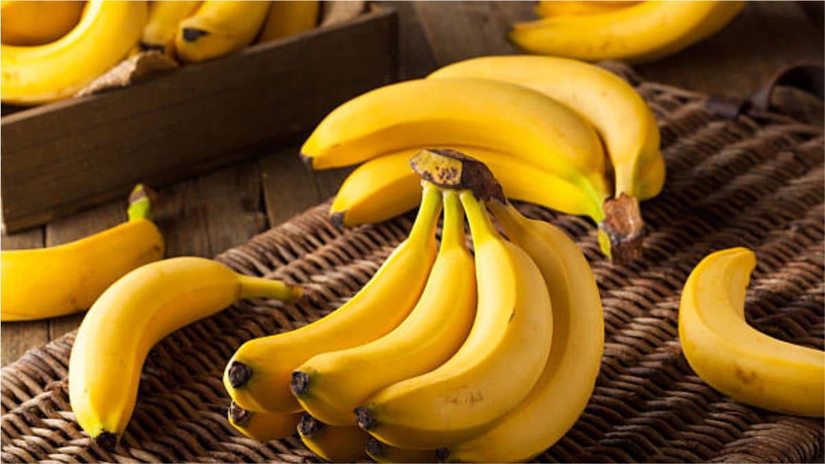 8 Health Benefits of Eating Bananas