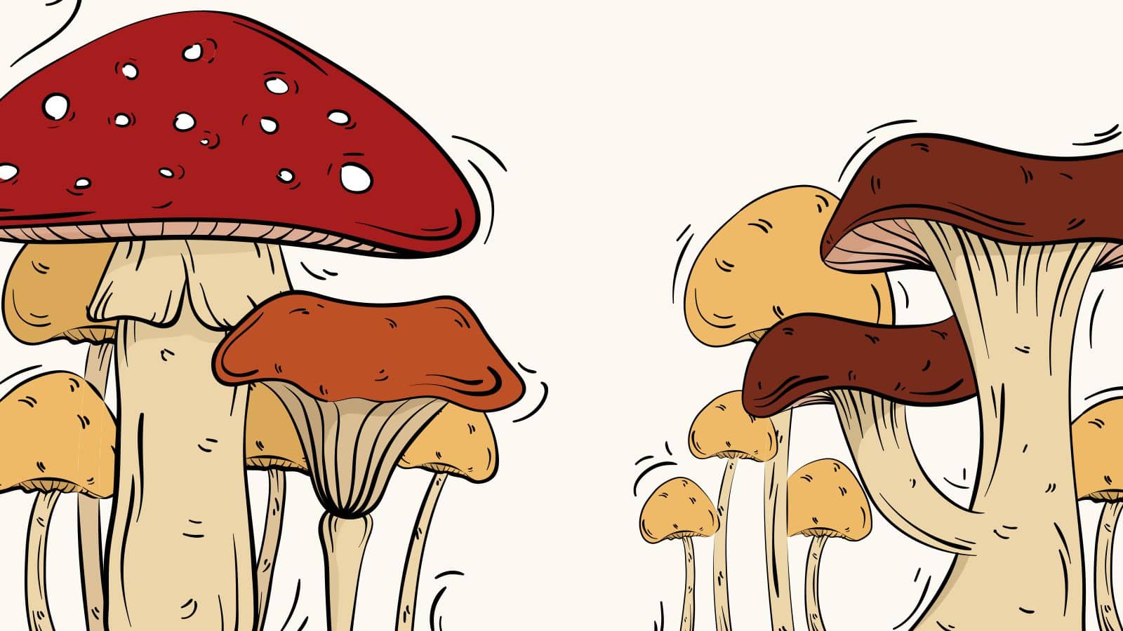 10 Common Types of Mushrooms