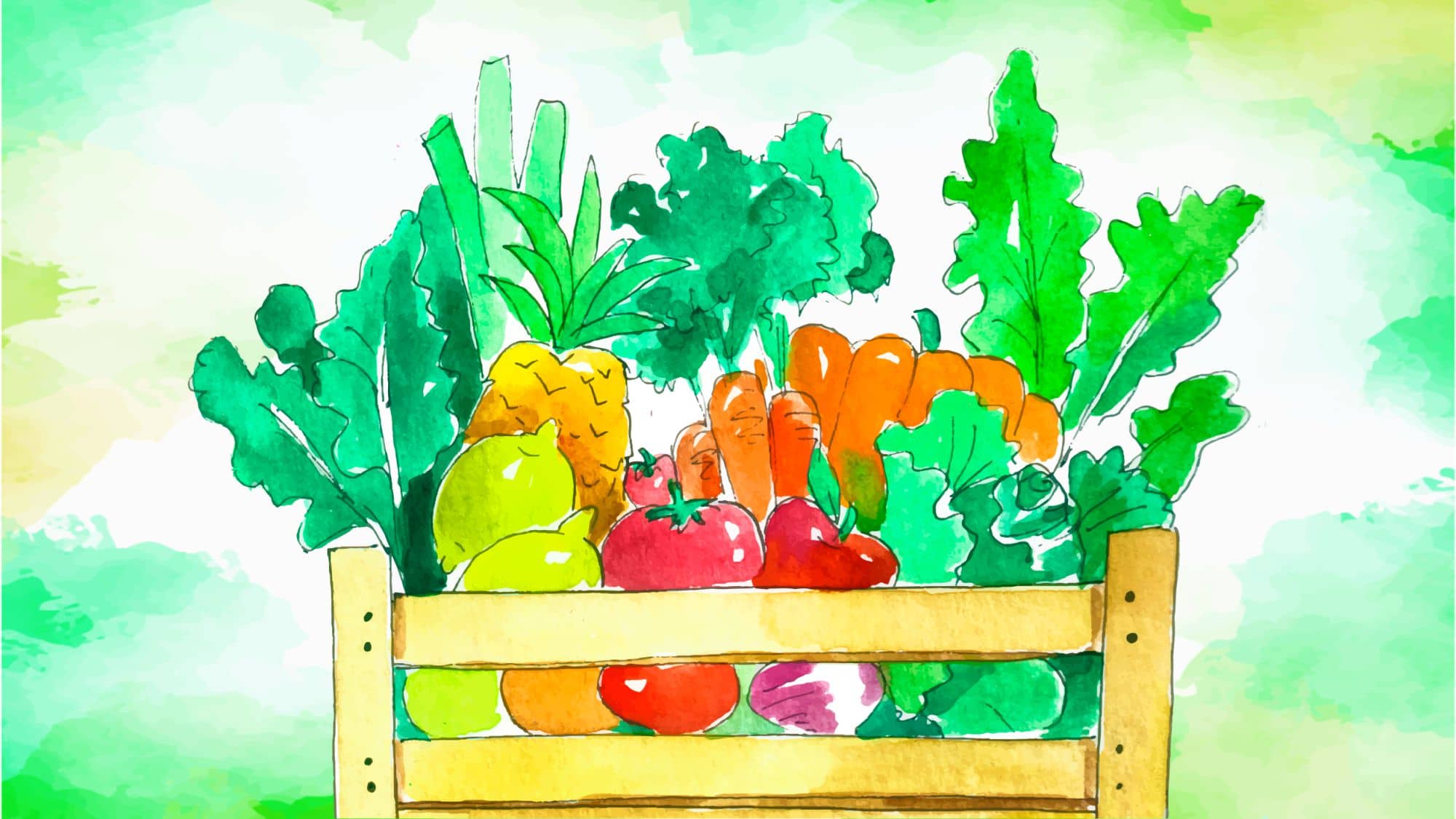 5 best veggies in the monsoon