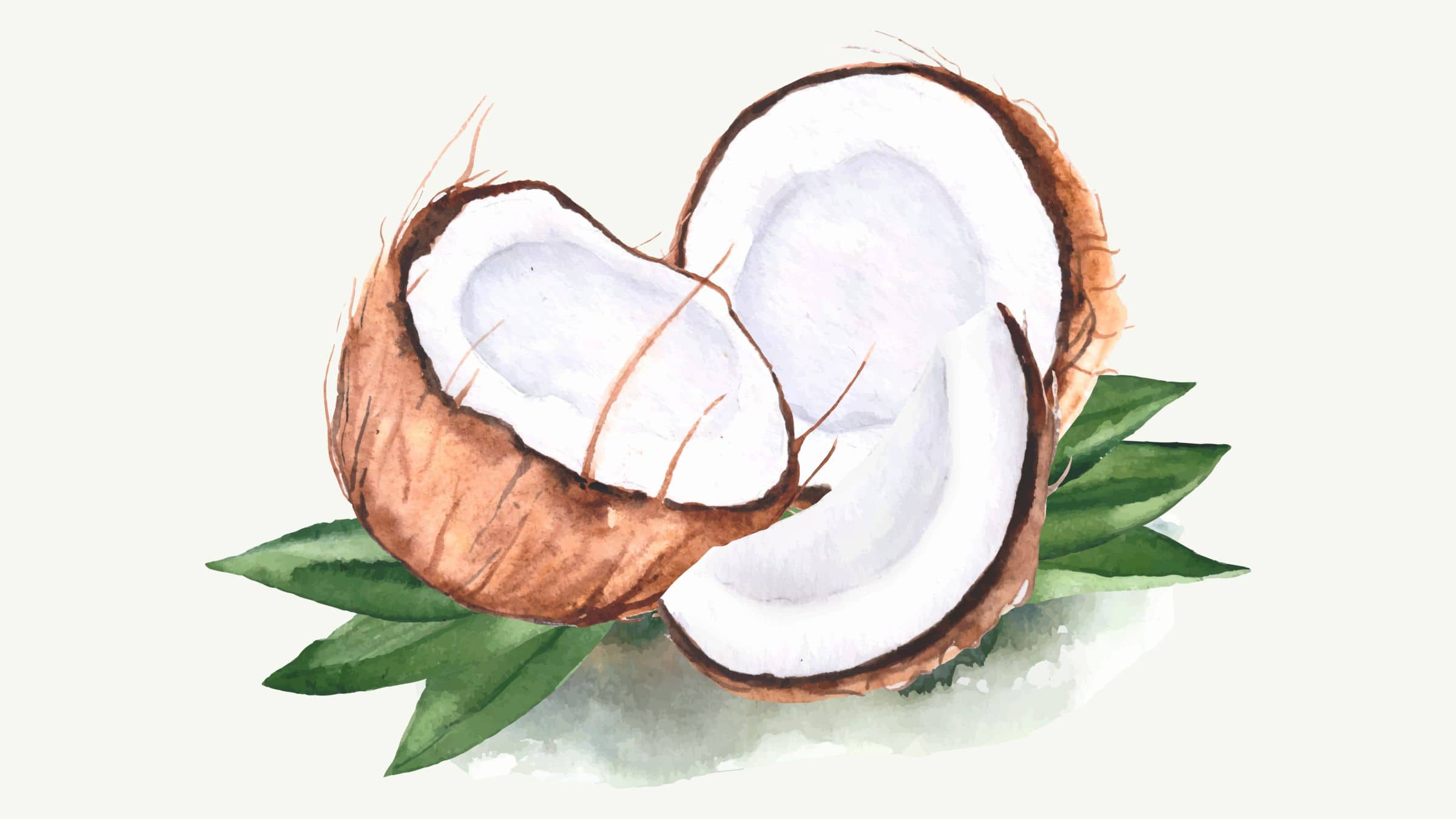COCONUT WATER :: NUTRITIOUS DRINK FROM NATURE